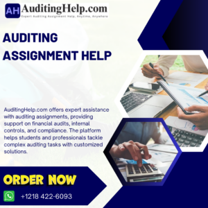 Auditing Assignment Help