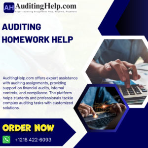 Auditing Homework Help