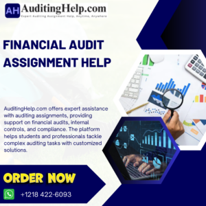 Financial Audit Assignment Help