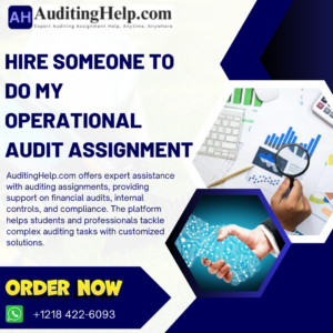 Hire Someone To Do My Operational Audit Assignment