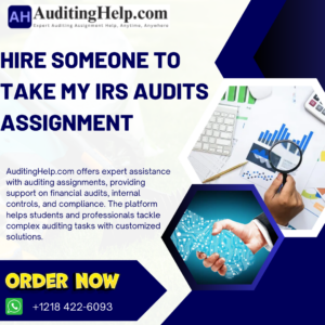 Hire Someone To Take My IRS Audits Assignment