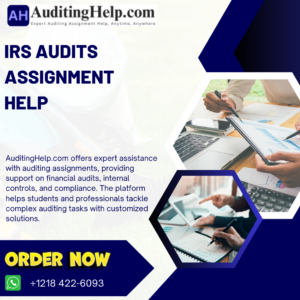 IRS Audits Assignment Help