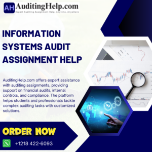 Information Systems Audit Assignment Help