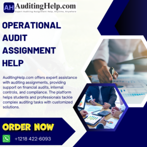 Operational Audit Assignment Help