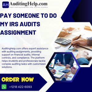 Pay Someone To Do My IRS Audits Assignment