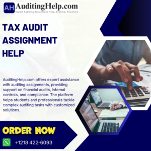 Tax Audit Assignment Help